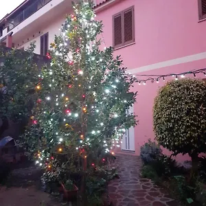 L'agrifoglio Di Emy Bed & Breakfast