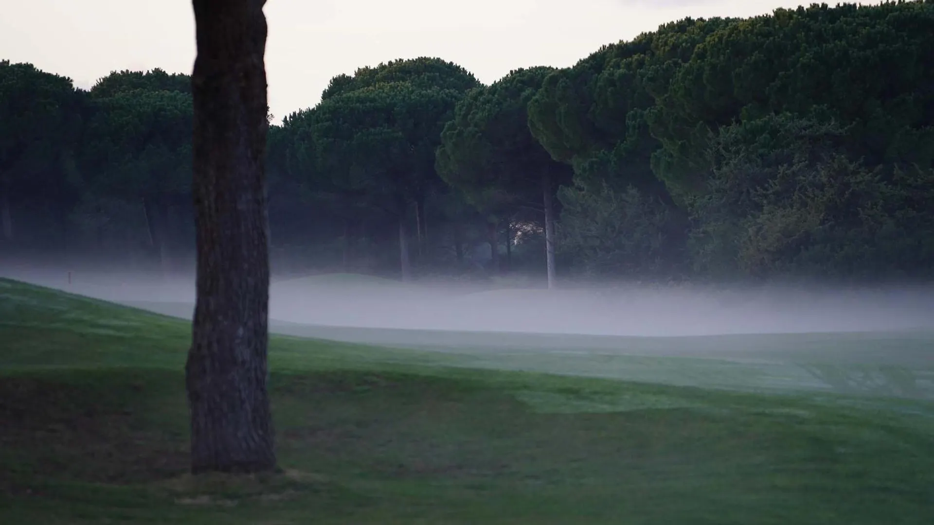 Konukevi Is Arenas Private Golf Foresterie - Unlimited Golf Included Narbolia